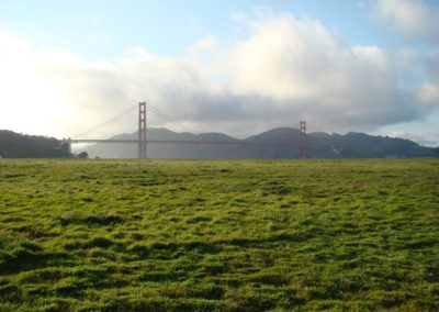 3 Raphaël Charbit - Le Golden Gate bridge enjambant une prairie
