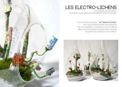 5 Marie-Laure Bruneau - Les Electro-Lichens web