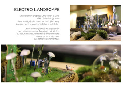 6 Marie-Laure Bruneau - Electro-Landscape web