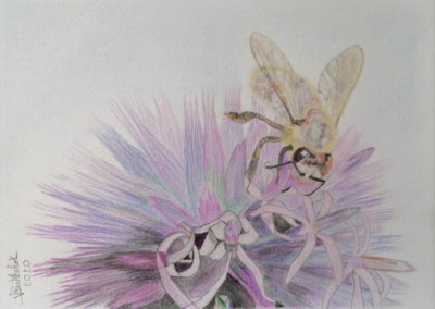 V-Berthelot-5-Fleur-avec-abeille